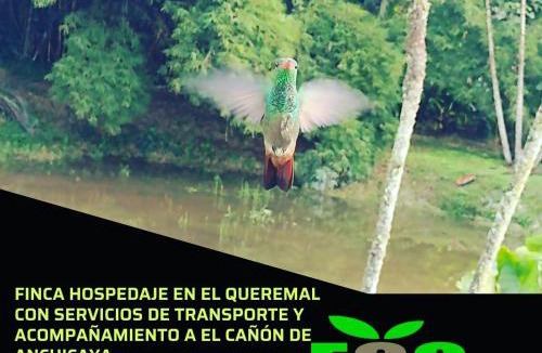 Dagua House | Ecopolis finca