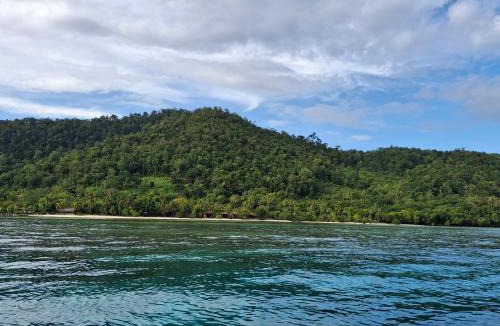 Mansuar Island House | Eddo Homestay