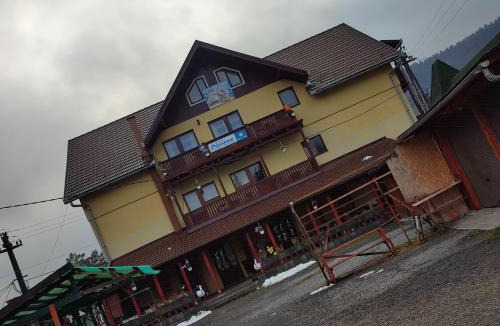 Borsec House | Edelweis Floare de Colt