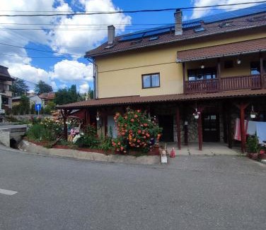 Borsec House | Edelweis Floare de Colt