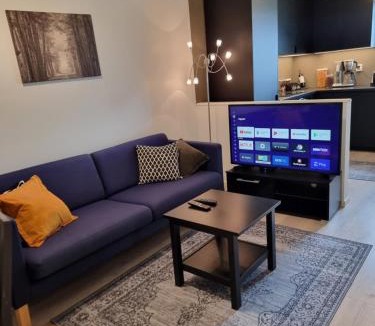 Asane Apartment | Eidsvåg