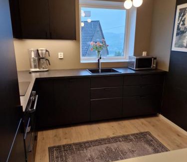 Asane Apartment | Eidsvåg