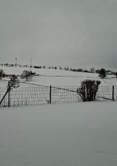 Ormont Apartment | Eifel Panorama Appartement