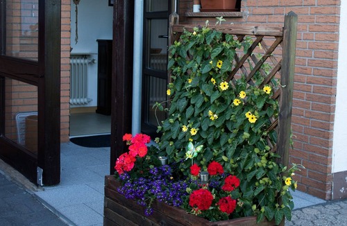 Bad Muenstereifel Apartment | Eifelhaus Helga Wald & Wiese in front of the door