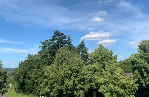 Bergweiler Apartment | Eifelliebe