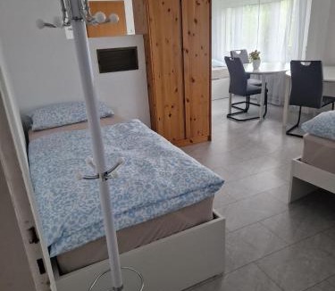 Waldshut-Tiengen Apartment | Einzimmer mit Küche und bad