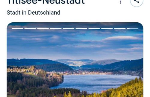 Waldshut-Tiengen Apartment | Einzimmer mit Küche und bad