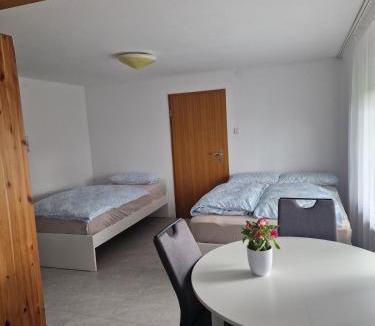Waldshut-Tiengen Apartment | Einzimmer mit Küche und bad