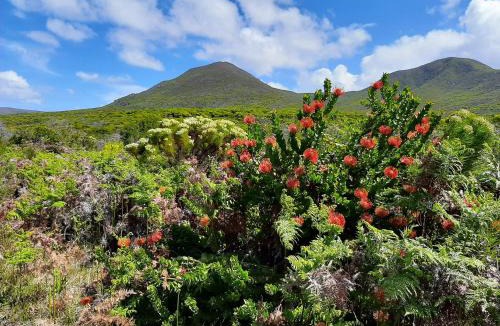 De Kelders Bed & Breakfast | Eirene Place