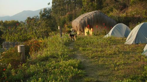 Periyur Other | EKa Forest