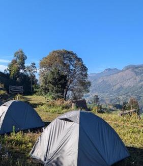 Periyur Other | EKa Forest