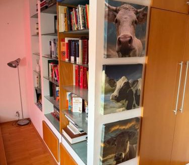 Kranj Apartment | Ekoviki