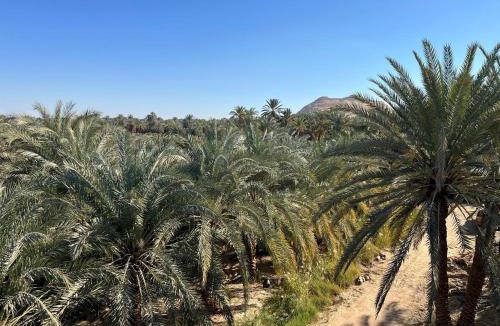 Siwa House | El-Beit