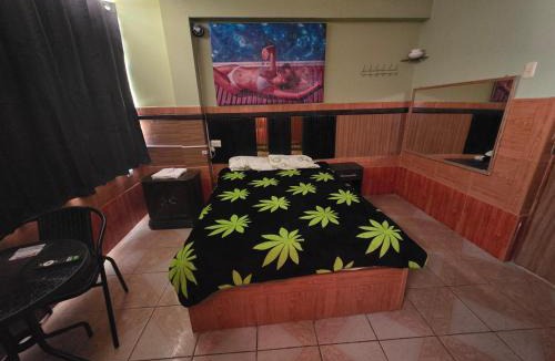 Chiclayo House | EL BOSQUE Hostal