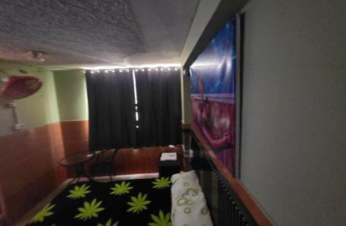 Chiclayo House | EL BOSQUE Hostal