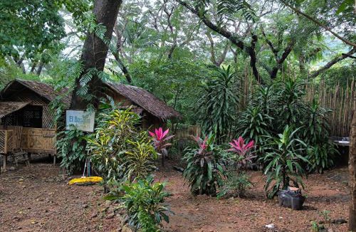 Coron Resort | EL BOSQUE RESORT CORON