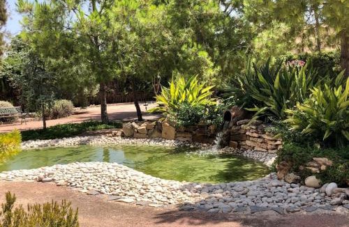 Elche Villa | El Campirri