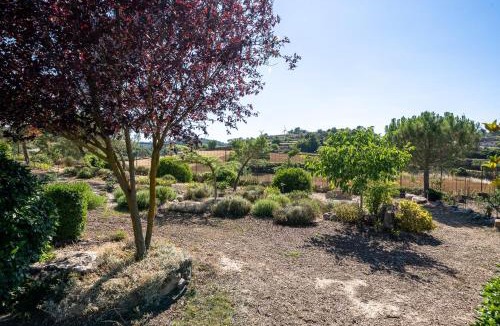 Conesa Apartment | El Clos 5