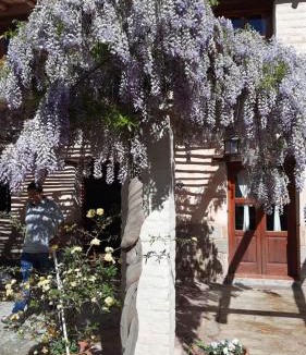Tilcara House | El Ensueño