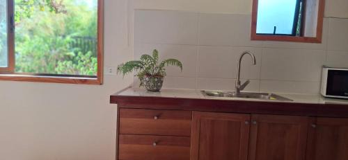Vina del Mar Apartment | El gran Jacarandá