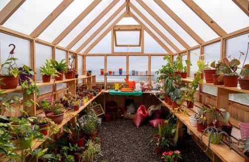 Quintero House | El Jardín de Zara