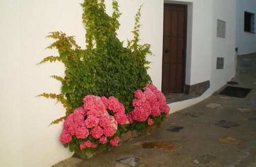 Fregenite House | El Retiro