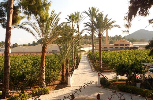 Oliva Hotel | El Sequer Casa Rural
