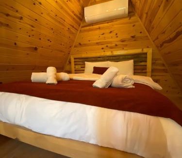 Ayder Ski Chalet | ELASYA BUNGALOV