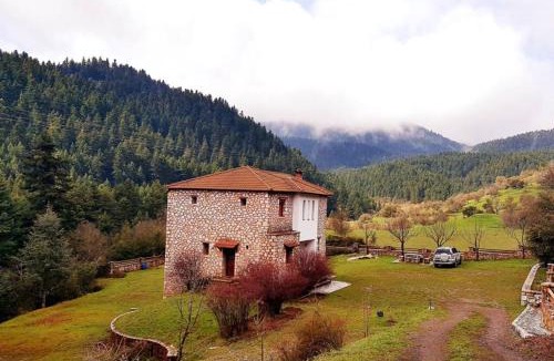 Vlacherna Ski Chalet | Elati Hills