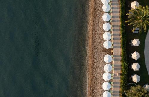 Dassia Hotel | Elea Beach Hotel