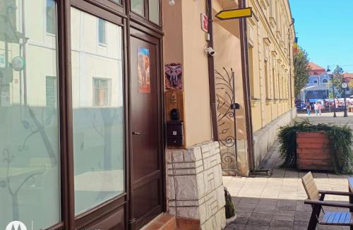 Baia Mare Apartment | elefant