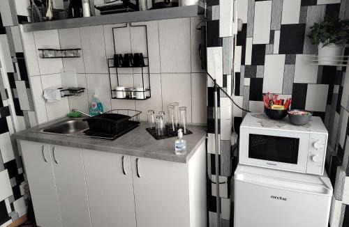 Baia Mare Apartment | elefant