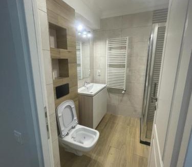 Suceava Apartment | Elegant Accomodation Apart Zamca