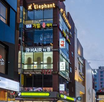 Nampo-dong Apartment | Elephant