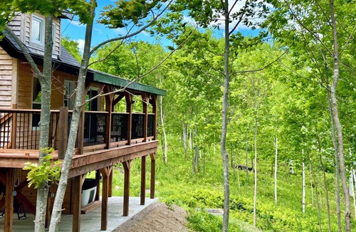 Canterbury Cabin | Elevated cabin nestled among the trees, and the Saint John River. Pet friendly.