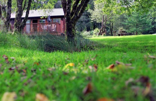 Dallavich Cabin | Elevated Loch View Cabin with WiFi, Electric Hot Tub and Mountain Views