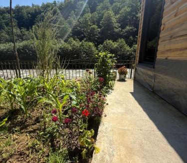 Ayder Hotel | Elfida Tinyhouse