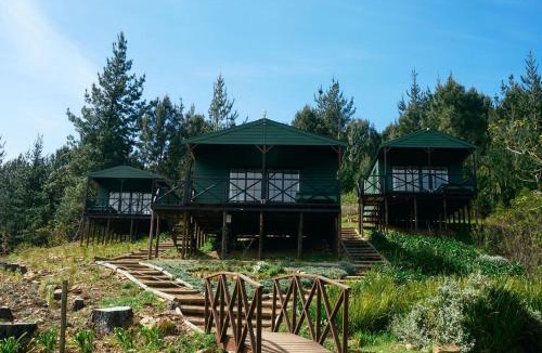 Elgin Cabin | Elgin River Lodge