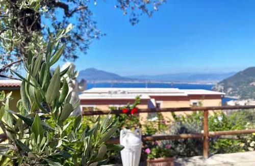 Monte Chiaro Bed & Breakfast | Elisabeth Seaview Apartments Sorrento Coast