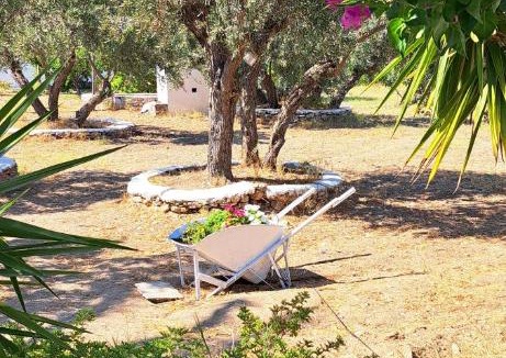 Platis Gialos Apartment | Elisso Villas