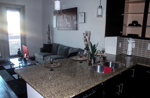 Midtown Apartment | Elite Skyline view apartment with AC, fitness room, WiFi in vibrant Houston Tx