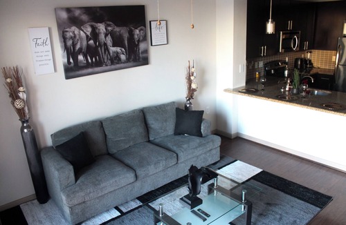 Midtown Apartment | Elite Skyline view apartment with AC, fitness room, WiFi in vibrant Houston Tx
