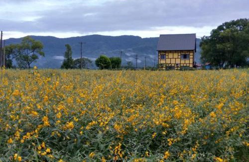 Shoufeng House | Elizabeth Bed and Breakfast