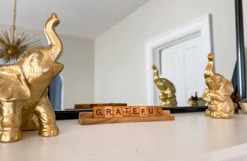 Buffalo Apartment | Elmwood Village 2BR Apt Sleeps 8 Walk to Dining