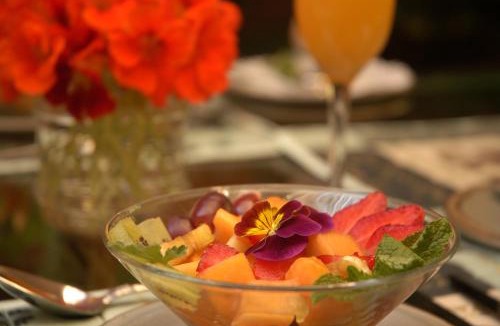Faerie Glen Bed & Breakfast | Elonda B&B