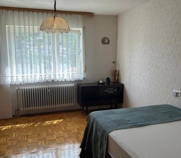 Warmensteinach Apartment | Elsa's Waldnest-Nähe Fichtelsee