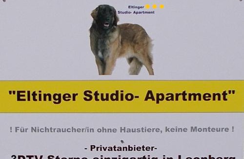 Leonberg Apartment | Eltinger Studio Apartment