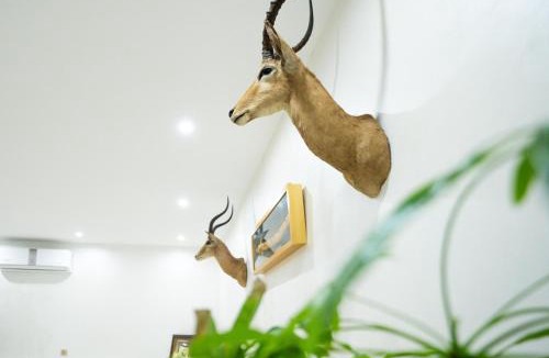 Shariyah House | Elva farm