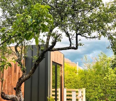 Sadu Bed & Breakfast | Elysian Fields - Tiny House 'Evergreen'