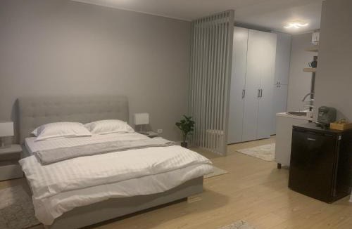 Tirgu Jiu Apartment | EM04- Studio premium